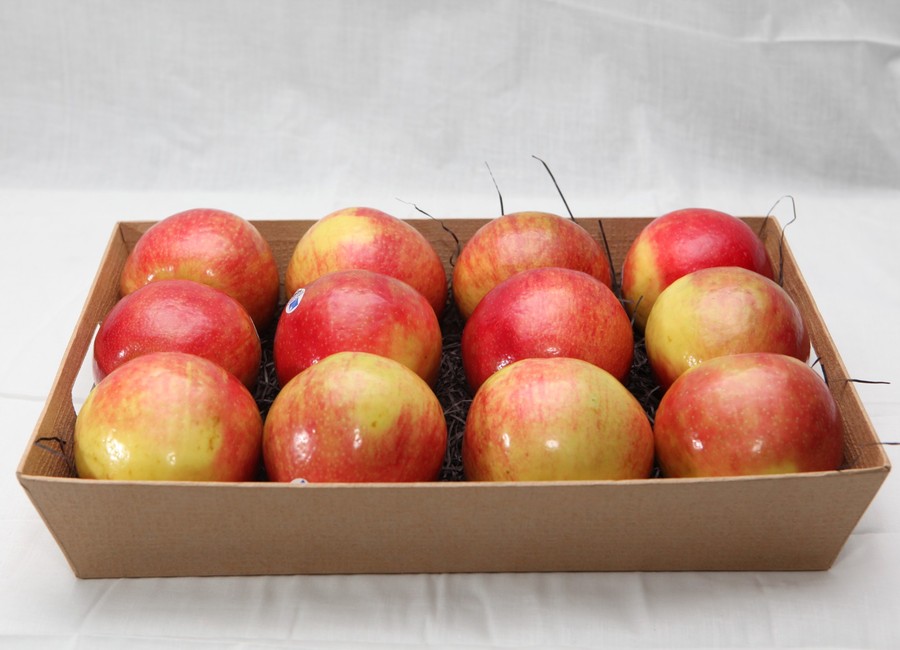 Fresh apple tray